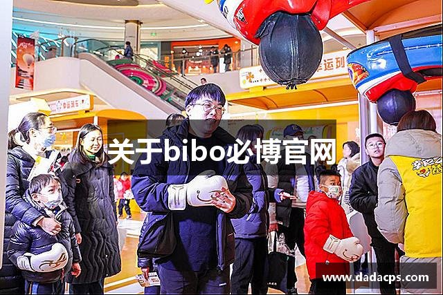 关于bibo必博官网